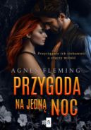 Okładka - Przygoda na jedną noc