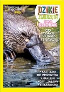 Okadka ksizki - Dzikie Zwierzta (#22). Dzikie Zwierzta cz.22 Dziobak