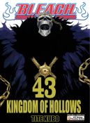 Okadka - Bleach tom 43. Kingdom of hollows