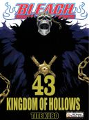 Ok�adka ksi�zki - Bleach tom 43. Kingdom of hollows
