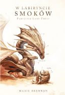 Ok�adka - W labiryncie smok�w