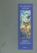 Okadka - Midzy deszczami