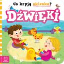 Okadka ksizki - Co kryj okienka? Dwiki