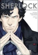 Okadka ksizki - Sherlock tom 1. Studium w ru