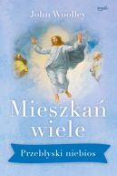 Ok�adka - Mieszka� wiele. Przeb�yski niebios