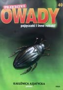 Okładka - Kałużnica azjatycka