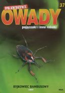 Okładka - Ryjkowiec bambusowy