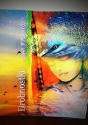 Ok�adka - Drobnostki