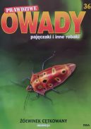 Okładka - Żółwinek cętkowany