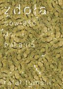 Okadka - Zdoa. Powie do bakania