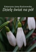 Ok�adka ksi�zki - Dziel� �wiat na p�