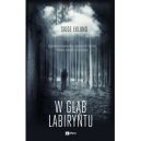 Okładka - W głąb labiryntu