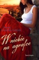 Ok�adka - W niebie na agrafce