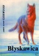 Okadka ksizki - Byskawica