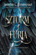Okładka - Sztorm i Furia