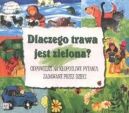 Ok�adka - Dlaczego trawa jest zielona?