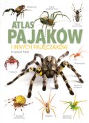Ok�adka ksi�zki - Atlas Paj�k�w. i innych paj�czak�w