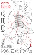 Okładka - Cud w Dolinie Poskoków