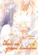 Okadka ksizki - ZBUD SI, PICA KRLEWNO: TOM 6