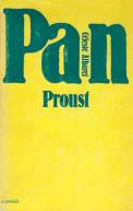Ok�adka - Pan Proust