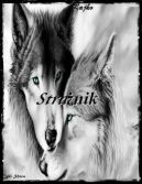Ok�adka - Stra�nik
