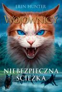 Okładka - Niebezpieczna ścieżka