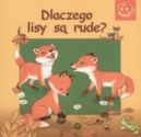 Okadka - Dlaczego lisy s rude?