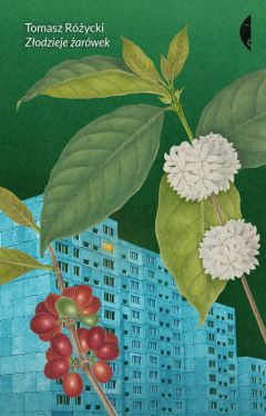 Okadka ksiki - Zodzieje arwek