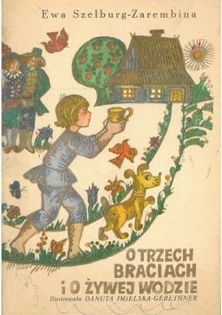 Okadka ksiki - O trzech braciach i o ywej wodzie