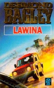 Okadka ksiki - Lawina