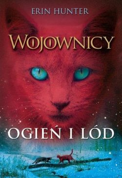 Okładka książki - Ogień i lód
