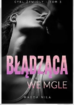 Okadka ksiki - Bdzca we mgle