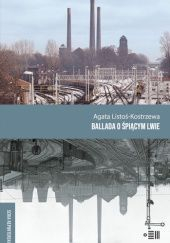 Okadka ksiki - Ballada o picym lwie 