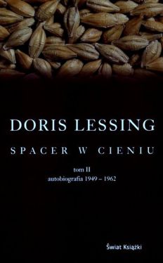 Okadka ksiki - Spacer w cieniu