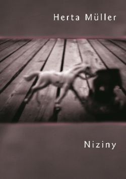 Okadka ksiki - Niziny