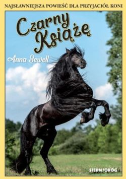 Okadka ksiki - Czarny Ksi