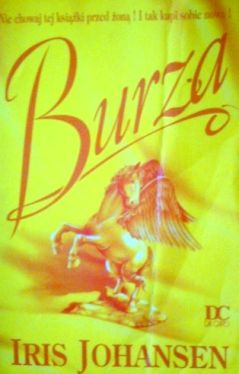 Okadka ksiki - Burza