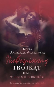 Okadka ksiki - Niebezpieczny Trjkt. Tom 2