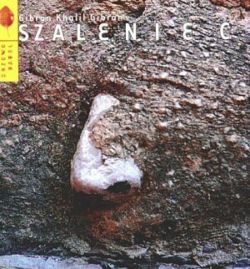 Okadka ksiki - Szaleniec