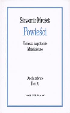 Okadka ksiki - Powieci 