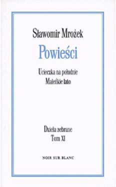 Okadka ksiki - Powieci 