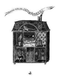 Okadka ksiki - Intima thule