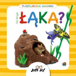 Okadka ksiki - Plastelinkowa akademia. Co kryje ka?