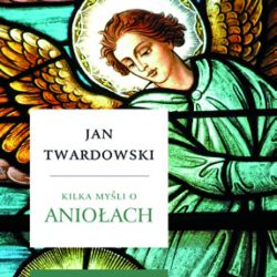 Okadka ksiki - Kilka myli o anioach