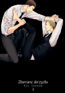 Okadka ksiki - Zamane skrzyda tom 3