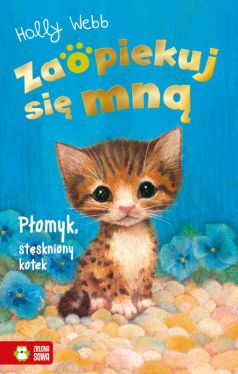 Okadka ksiki - Zaopiekuj si mn. Pomyk, stskniony kotek