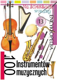 Okadka ksiki - 100 instrumnetw muzycznych