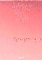 Okadka ksiki - Spadajce licie. Prawdziwa historia niechcianej chiskiej crki