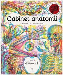 Okadka ksiki - Gabinet anatomii
