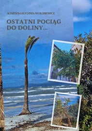 Okadka ksiki - Ostatni pocig do doliny…